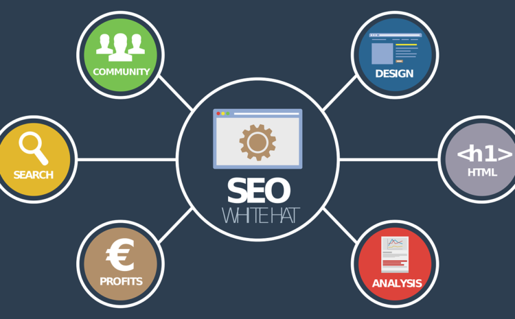 Complete website SEO in Pakistan