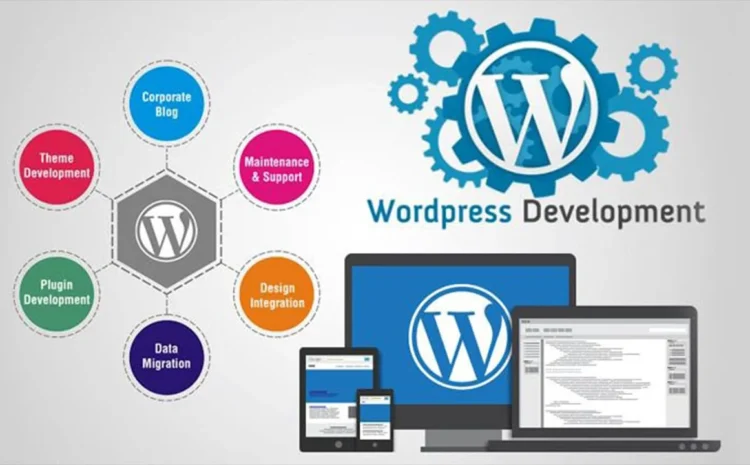 Wordpress Website Development