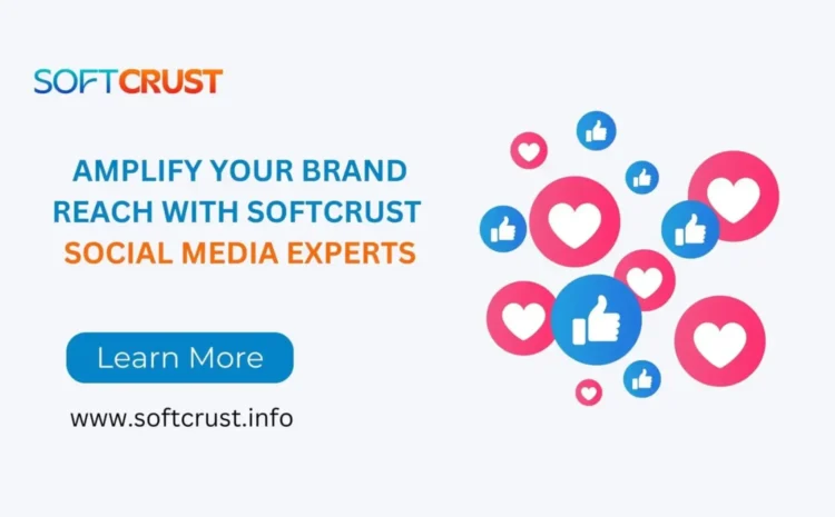 Social media marketing agency guide: amplify your brand reach with SoftCrust social media experts
